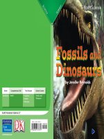 Fossils and Dinosaurs