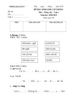 đề thi tiếng việt học sinh giỏi lớp 1