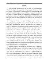 Giải pháp nâng cao hiệu quả công tác bảo vệ môi trường ở thành phố long xuyên đến năm 2020