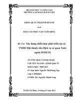 Xây dựng chiến lược phát triển tại công ty TNHH một thành viên dịch vụ cơ quan nước ngoài (FOSCO)