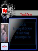 Tư tươr hồ chĩ minh về cm giải phóng dân tộc