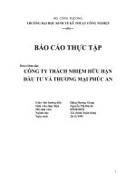 Báo cáo thực tập tại công ty trách nhiệm hữu hạn đầu tư và thương mại Phúc An