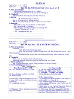 Văn 6 Tuan 10,11,12