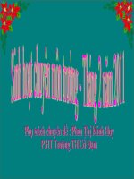 Bài: Nối các vế câu ghép bằng cặp từ hô ứng. Luyện từ &câu lớp 5