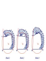 Minh hoa goc doi dien cua tu giac noi tiep.ppt