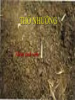 keo đất và khả năng hấp thụ của keo đất