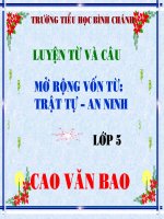 LUYỆN TỪ VÀ CÂU LỚP 5-Mở rộng vốn từ-Trật tự - An ninh