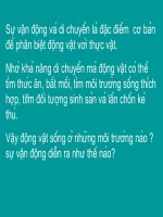 Bài 53: Môi trường và sự vận động di chuyển