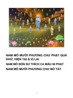 KINH đại THÔNG PHƯƠNG QUẢNG sám hối DIỆT tội TRANG NGHIÊM THÀNH PHẬT