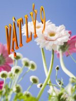 ảnh của 1 vật tạo bởi thấy kính hội tụ