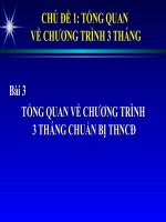 tổng quan vềchương trình 3 tháng trước khi thncđ