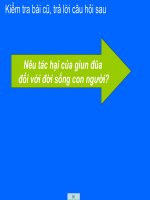 Bài 14: Một số giun tròn khác và đặc điểm chung của ngành Giun tròn