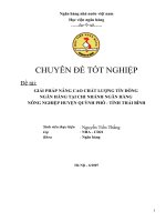 Giải pháp nâng cao chất lượng tín dụng Ngân hàng tại chi nhánh Ngân hàng nông nghiệp huyện Quỳnh Phụ tỉnh Thái Bình
