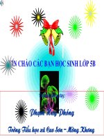 Tiết 114: Thể tích của một hình lớp 5