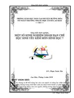 SKKN Một số kinh nghiệm hạn chế học sinh yếu kém ở môn hình học lớp 7