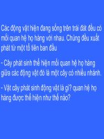 Bài 56: Cây phát sinh giới Động vật