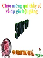 Các nhân tố ảnh hưởng đến sinh trưởng và phát triển ở động vật ( T1)