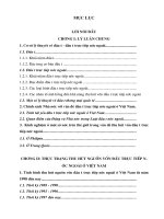 Thực trạng thu hút nguồn vốn đầu trực tiếp n- ớc ngoài ở Việt Nam