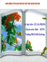 Đa Dạng và đặc điểm chung của lưỡng cu