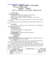 Giáo án Địa lý 8  chuẩn mới 2011