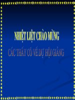 NGỮ VĂN 9 ĐỒNG CHÍ