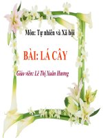 bai la cay tiet 1  lop 3 [1]