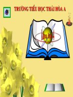 Khoa học:Ánh sáng cần cho sự sống