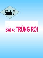 Bai 4 trung roi