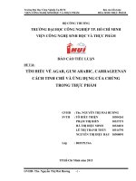 Tiểu luận Hóa sinh Tìm hiểu về Agar, Gum Arabic, Carrageenan cách tinh chế và ứng dụng của chúng trong thực phẩm