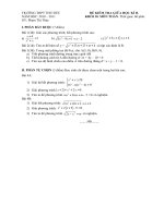 DE KT GIUA KI 2 TOAN 10