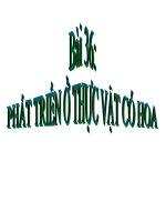 phat trien o thuc vat co hoa