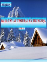 Tây Âu thời hậu kỳ trung đại