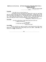 de thi chon doi tuyen thi tinh l9