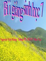 tiết 7 theo PP chương trình sinh học 7. Hùng