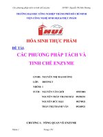 Tiểu luận hóa sinh thực phẩm Các phương pháp tách và tinh chế enzyme