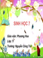 SInh hoc 7: Bai 5: Trùng biến hình - trùng giày