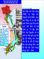 TDP XÂM LƯỢC VIỆT NAM 1858