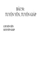 Bài 56: TUYẾN YÊN VÀ TUYẾN GIÁP