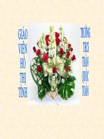 NGỮ VĂN 8: TÌM HIỂU CHUNG VỀ VĂN THUYẾT MINH