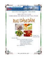 Báo cáo tiểu luận công nghệ chế biến đồ hộp thực phẩm Rau Dầm Dấm