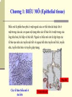 Giáo trình mô phôi