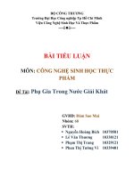 Tiểu luận công nghệ sinh học thực phẩm Phụ gia trong nước giải khát