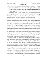 TỔNG QUAN về HOẠCH ĐỊNH CHIẾN lược MARKETING thương mại điện tử