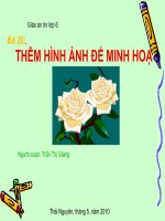 bao 20- them hinh anh de minh hoa