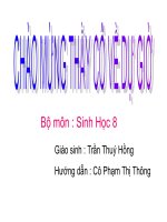 Bài 45 : Dây thần kinh tuỷ