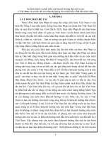 tiểu luận Sự hình thành và phát triển của khuynh hướng dân chủ tư sản ở Việt Nam và sự biến đổi của khuynh hướng đó từ đầu thế kỉ XX đến trước năm 1930