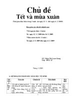 Giao an tet va mua xuan