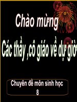 TIET 14BACH CAU -MIEN DICH