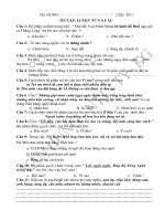 Ôn tập LTVC3 GKII (tổng hợp)