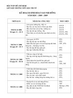 Kế hoạch sao nhi đồng